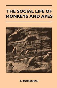 Cover image for The Social Life of Monkeys and Apes