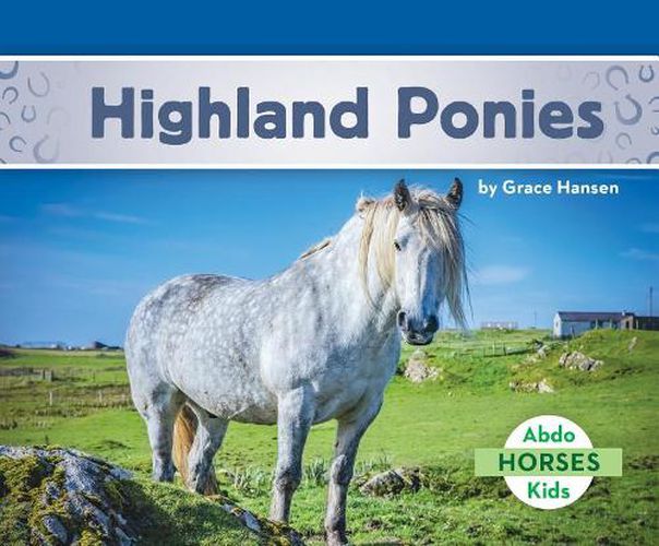 Cover image for Highland Ponies