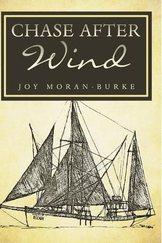 Cover image for Chase After Wind