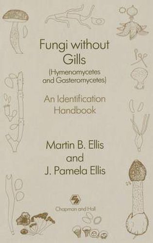 Cover image for Fungi without Gills (Hymenomycetes and Gasteromycetes): An identification handbook