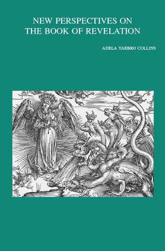 Cover image for New Perspectives on the Book of Revelation