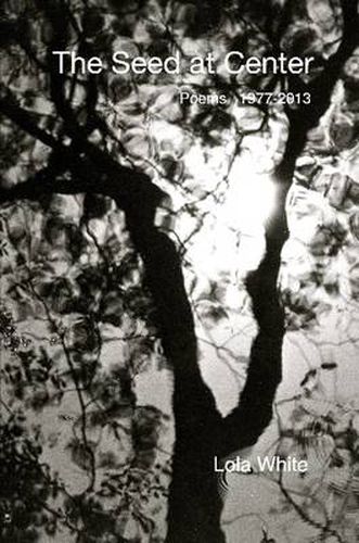 Cover image for The Seed at Center