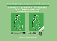 Cover image for Soins Lies A La Grossesse, A l'Accouchement Et A La Periode Neonatale: Guide de Pratiques Essentielles.