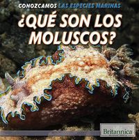 Cover image for ?Que Son Los Moluscos? (What Are Mollusks?)