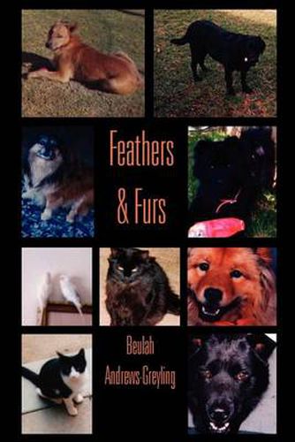 Cover image for Feathers & Furs