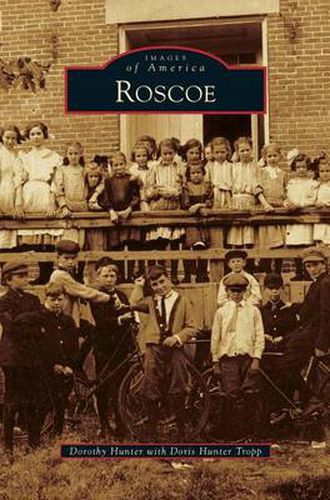 Cover image for Roscoe