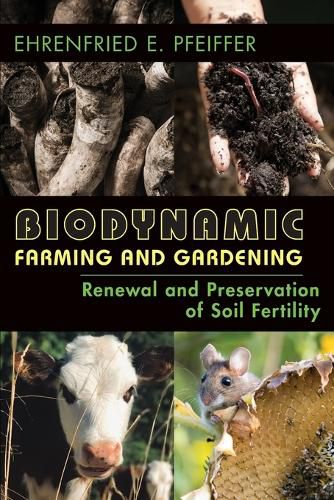 Cover image for Biodynamic Farming and Gardening: Renewal and Preservation of Soil Fertility