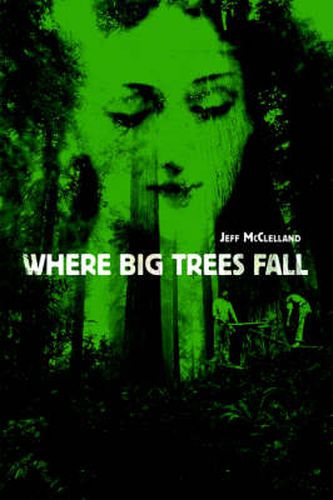 Cover image for Where Big Trees Fall