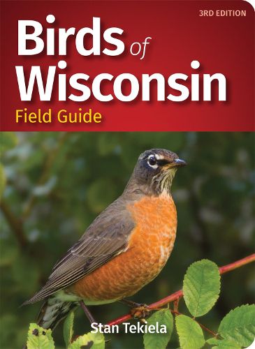 Cover image for Birds of Wisconsin Field Guide