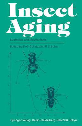 Cover image for Insect Aging: Strategies and Mechanisms