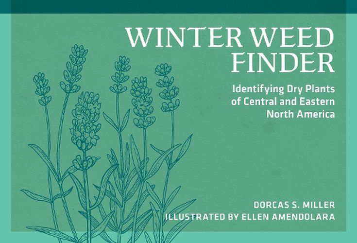 Winter Weed Finder