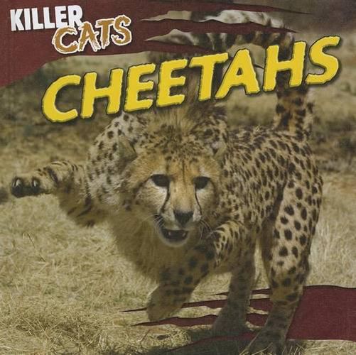 Cover image for Cheetahs