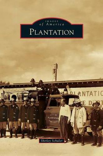 Cover image for Plantation