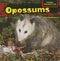 Cover image for Opossums