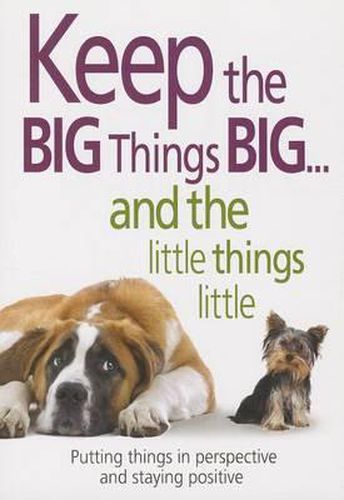 Cover image for Keep the Big Things Big and the Little Things Little: Putting Things in Perspective and Staying Positive