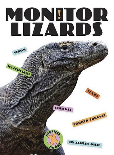 Cover image for Monitor Lizards
