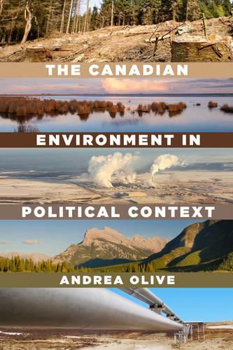 Cover image for The Canadian Environment in Political Context