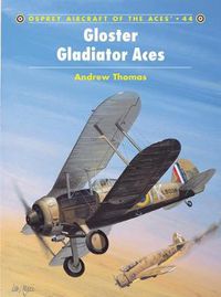 Cover image for Gloster Gladiator Aces