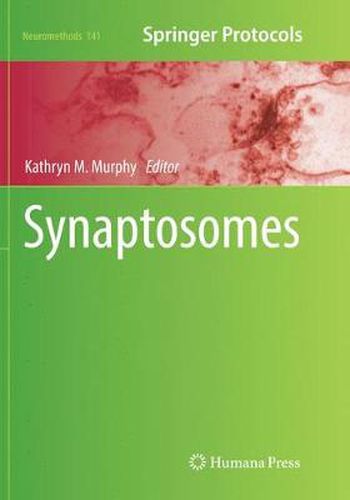Cover image for Synaptosomes
