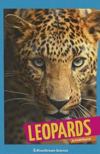 Cover image for Leopards