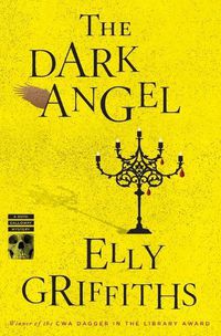 Cover image for The Dark Angel