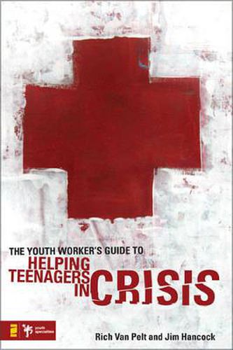 Cover image for The Youth Worker's Guide to Helping Teenagers in Crisis