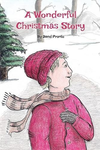 Cover image for A Wonderful Christmas Story