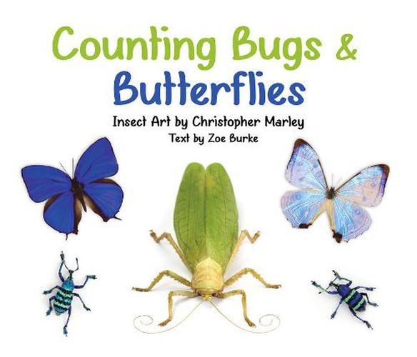 Cover image for Counting Bugs & Butterflies Insect Art by Christopher Marley Board Book