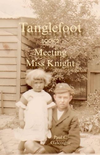Cover image for Tanglefoot