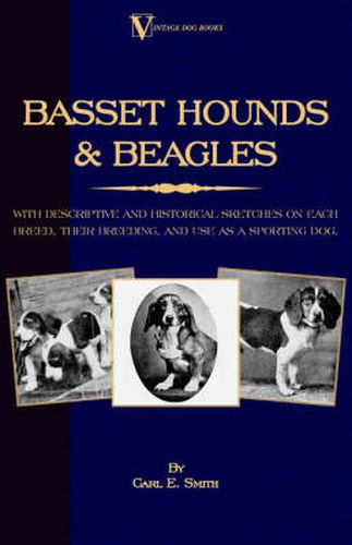 Cover image for Basset Hounds & Beagles