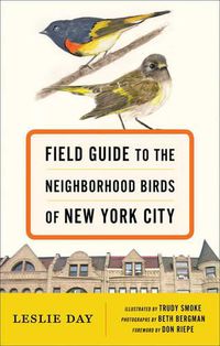 Cover image for Field Guide to the Neighborhood Birds of New York City