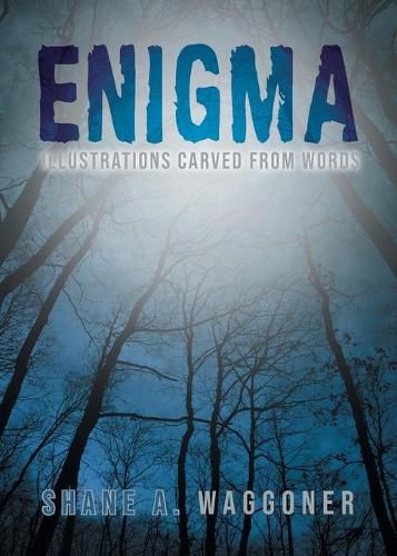 Cover image for Enigma: Illustrations Carved From Words