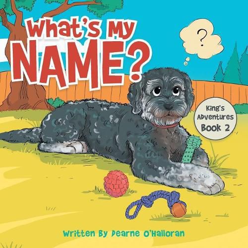 Cover image for What's My Name?: King's Adventures Book 2