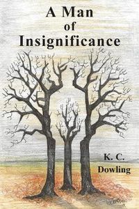 Cover image for A Man of Insignificance