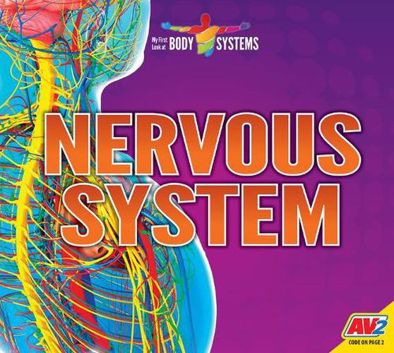 Nervous System