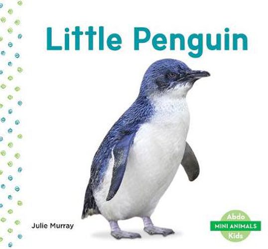 Mini Animals: Little Penguin