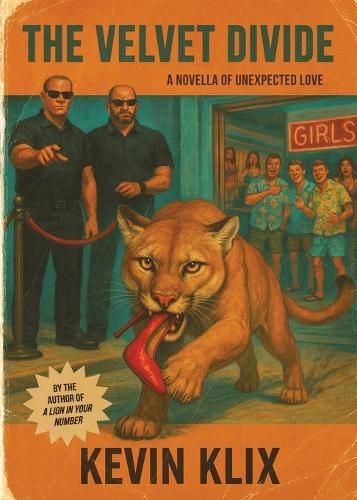 Cover image for The Velvet Divide