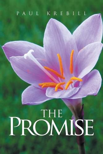 Cover image for The Promise