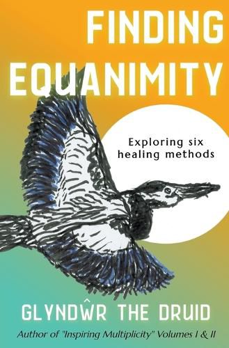Cover image for Finding Equanimity