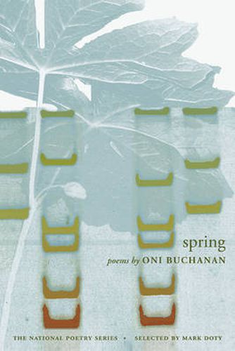 Cover image for Spring