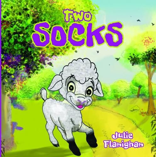 Cover image for Two Socks