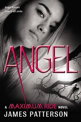 Cover image for Angel: A Maximum Ride Novel