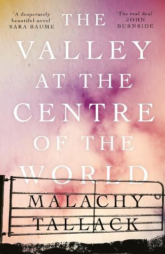 Cover image for The Valley at the Centre of the World