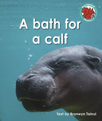 Cover image for A bath for a calf