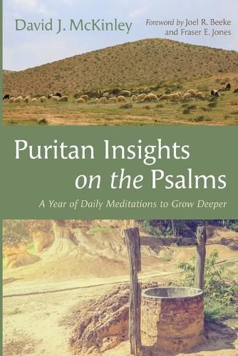 Cover image for Puritan Insights on the Psalms