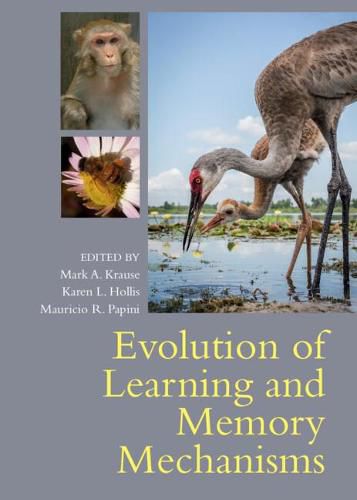 Cover image for Evolution of Learning and Memory Mechanisms