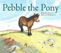 Cover image for Pebble the Pony