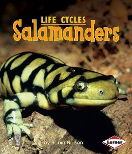Cover image for Salamanders