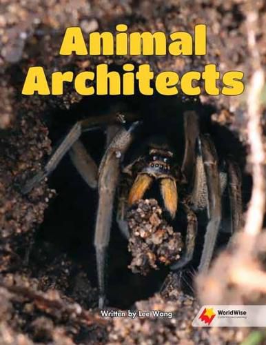 Cover image for Animal Architects