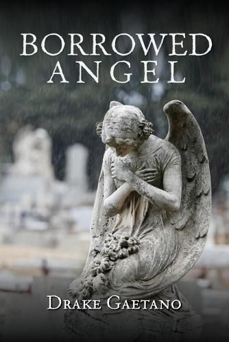 Cover image for Borrowed Angel